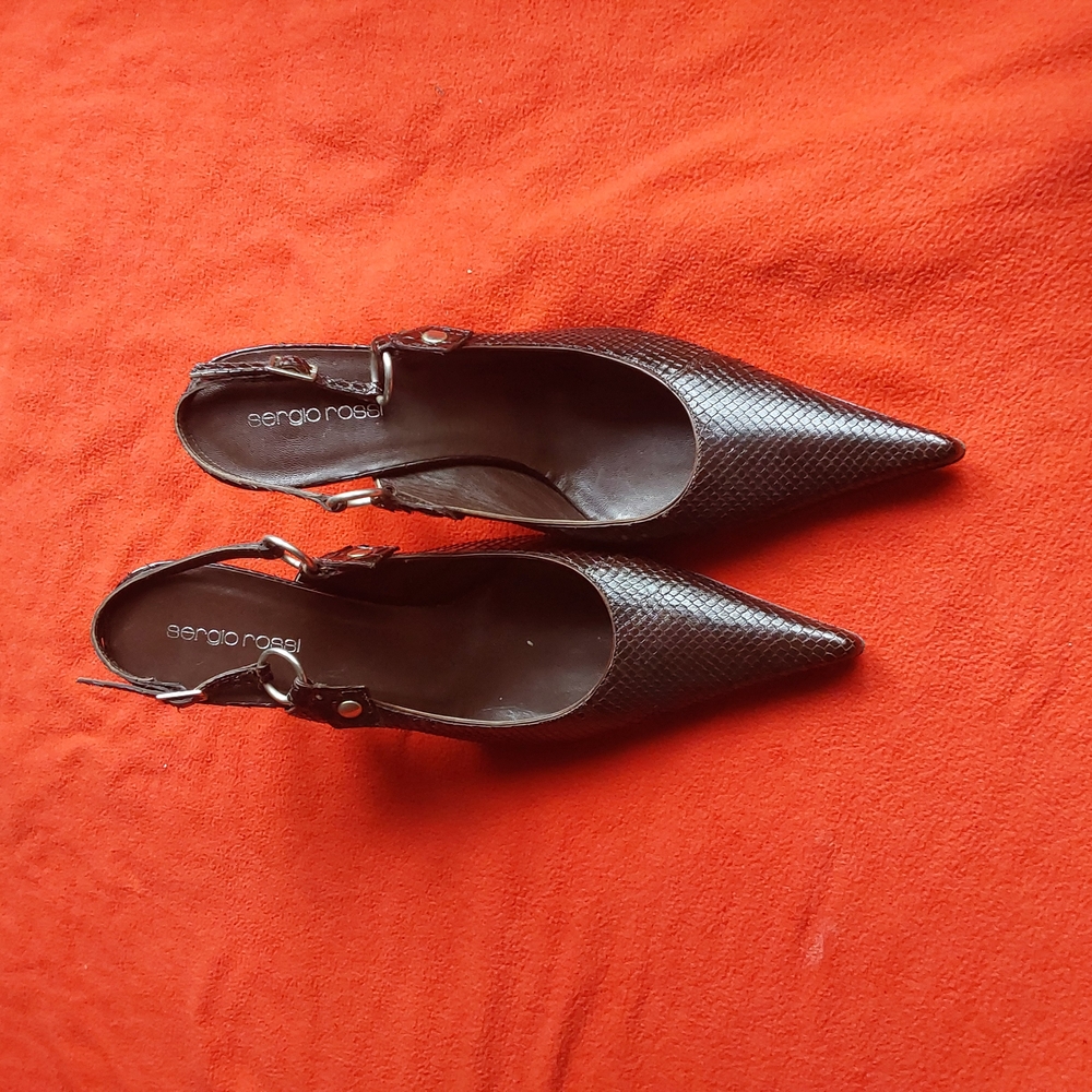 Sergio Rossi Brown Pointed Toe Women's Shoes